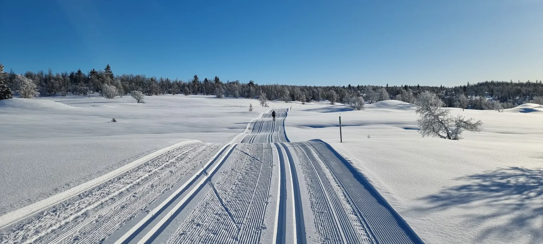 Oppkjørte skispor