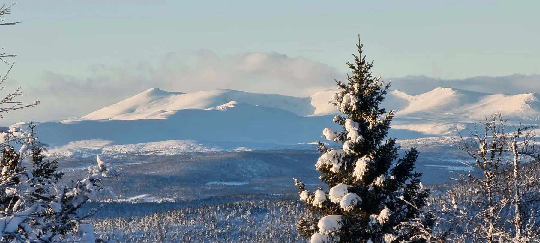 Vinterlandskap